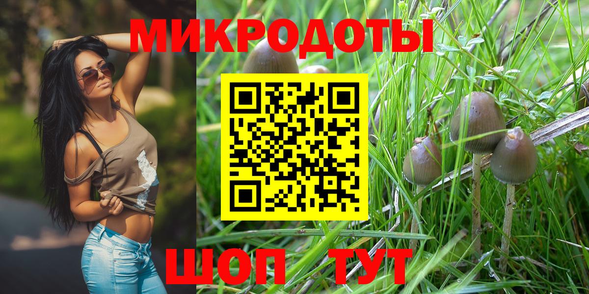 Псилоцибиновые грибы ЛСД  Вход с VPN  хочу   Галлюциногенные грибы Cubensis  Малгобек 