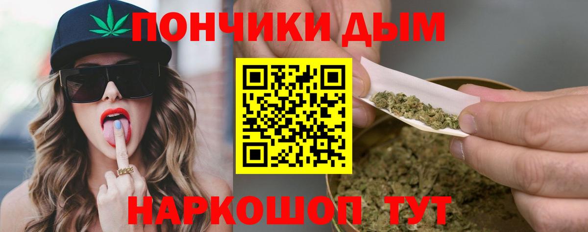 Канабис сатива Малгобек